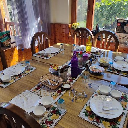 Aroma Taru Villa / Cottage ,Manali المظهر الخارجي الصورة