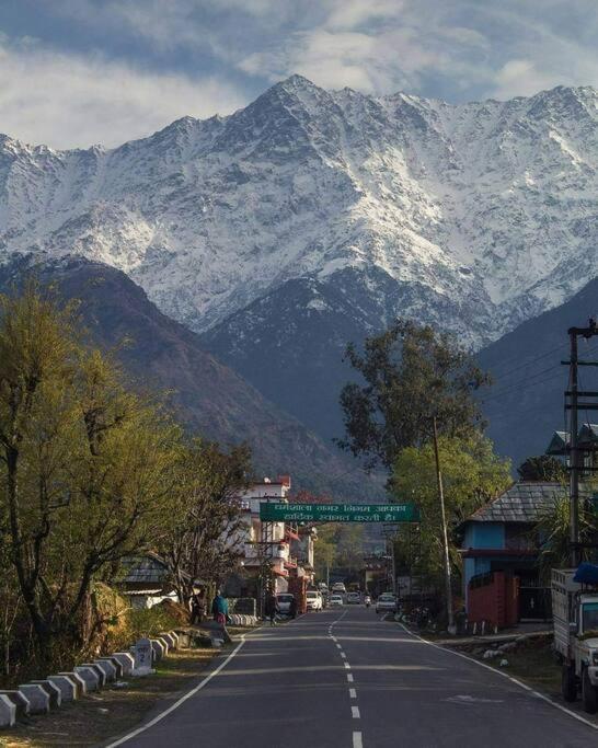 Aroma Taru Villa / Cottage ,Manali المظهر الخارجي الصورة