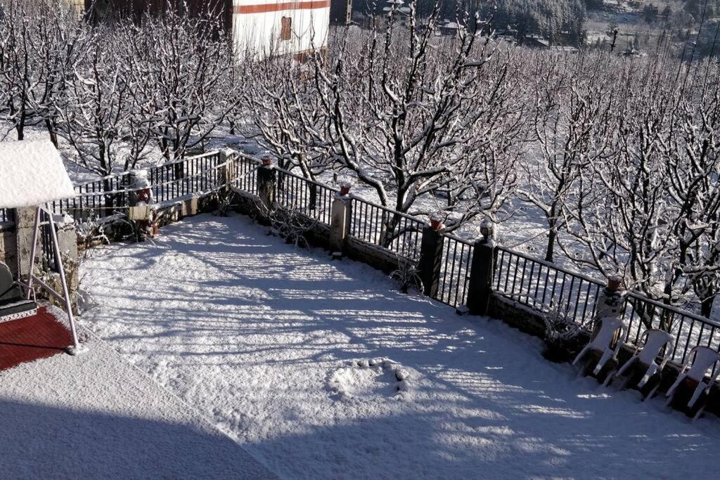 Aroma Taru Villa / Cottage ,Manali المظهر الخارجي الصورة