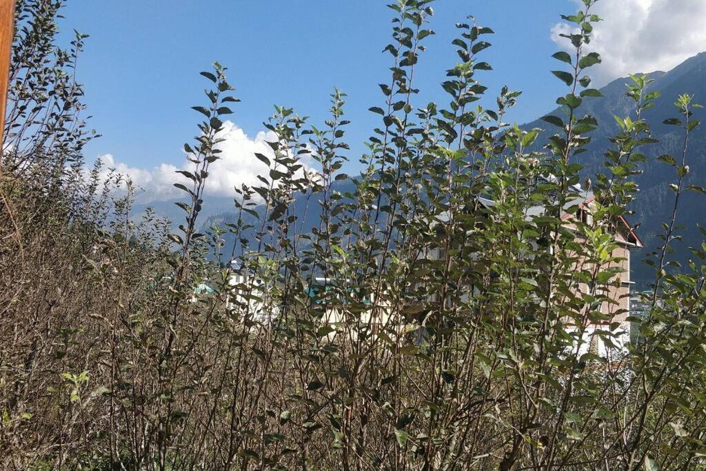 Aroma Taru Villa / Cottage ,Manali المظهر الخارجي الصورة