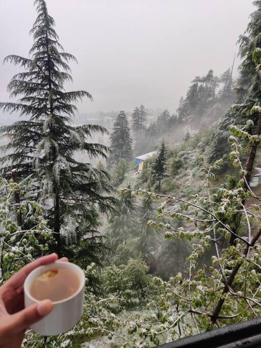 Aroma Taru Villa / Cottage ,Manali المظهر الخارجي الصورة