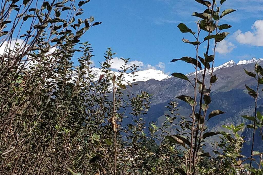 Aroma Taru Villa / Cottage ,Manali المظهر الخارجي الصورة